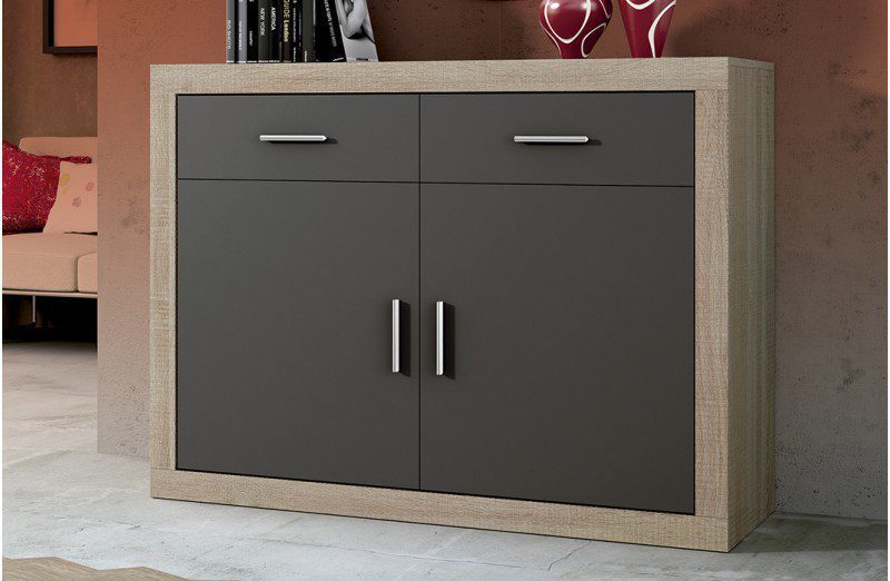 Aparador Lara de 120 cm con dos puertas y dos cajones, una solución de almacenaje elegante para el salón.