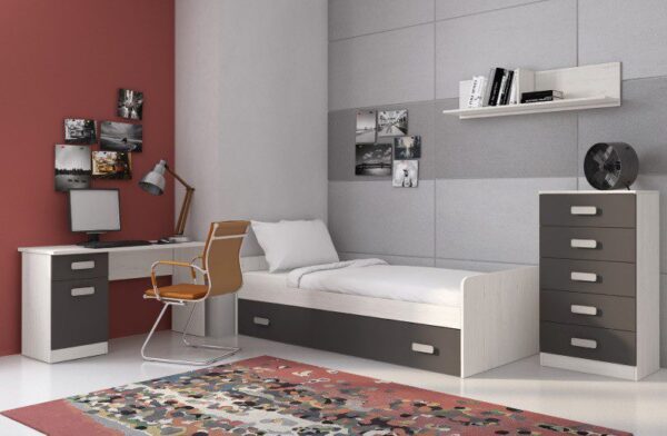 Dormitorio juvenil Donald 01 con cama nido, mesa de estudio y almacenaje, ideal para ahorrar espacio.