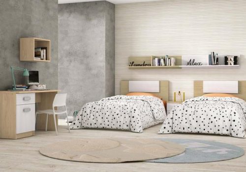 Dormitorio juvenil Donald 02 con escritorio, estanterías y armario zapatero, diseño moderno y funcional.