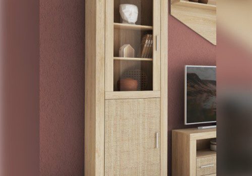 Vitrina Lara para salón con una puerta de madera y una de cristal, exhibiendo decoración en su interior.